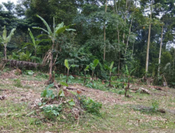 Menjual Tanah