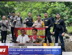 Ladang Ganja Empat Lawang
